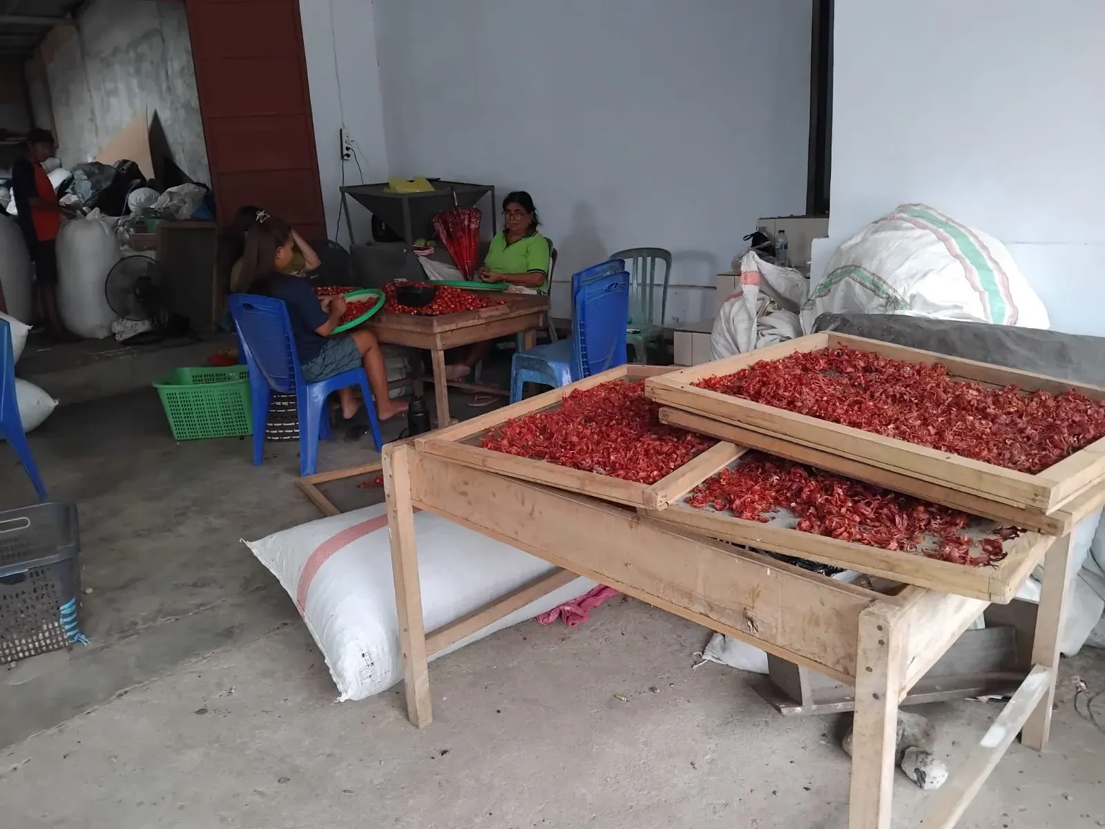 Indonesian Mace (Bunga Pala) Export: Premium Quality from North Sulawesi - Indonesian spice industry news and updates