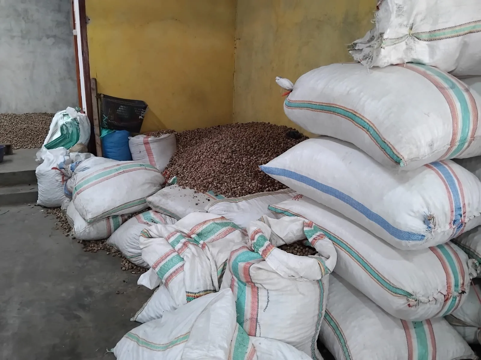 Nutmeg and Shell processing facility - Indonesian spice facility in North Sulawesi