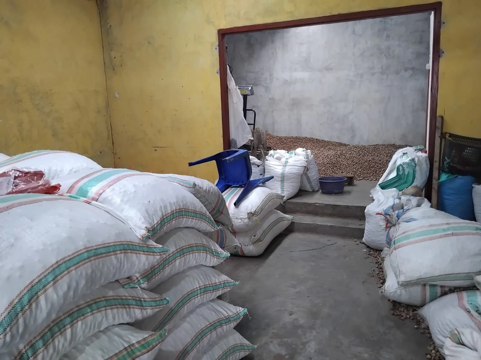 Nutmeg and Shell processing facility - Indonesian spice facility in North Sulawesi