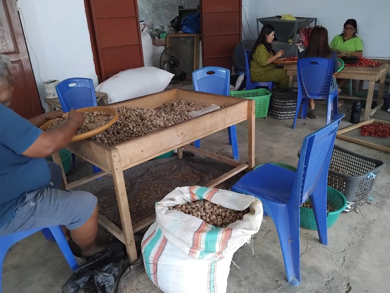 Tana Minahasa Activity - Indonesian spice facility in North Sulawesi