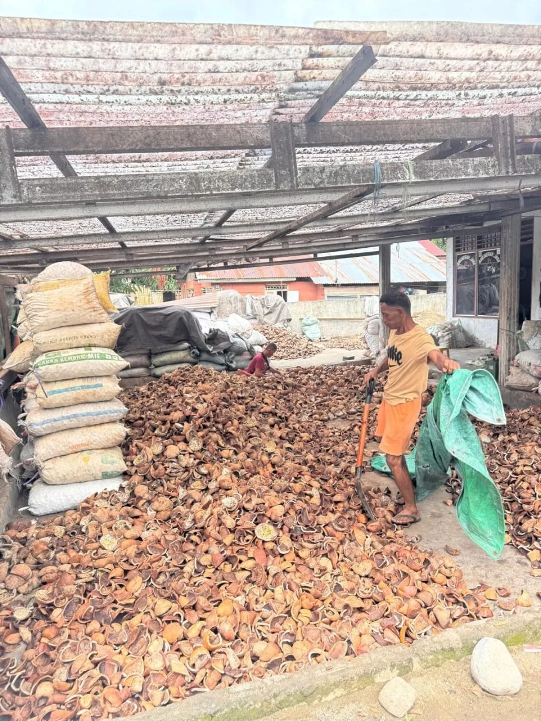 Copra processing facility - Indonesian spice facility in North Sulawesi
