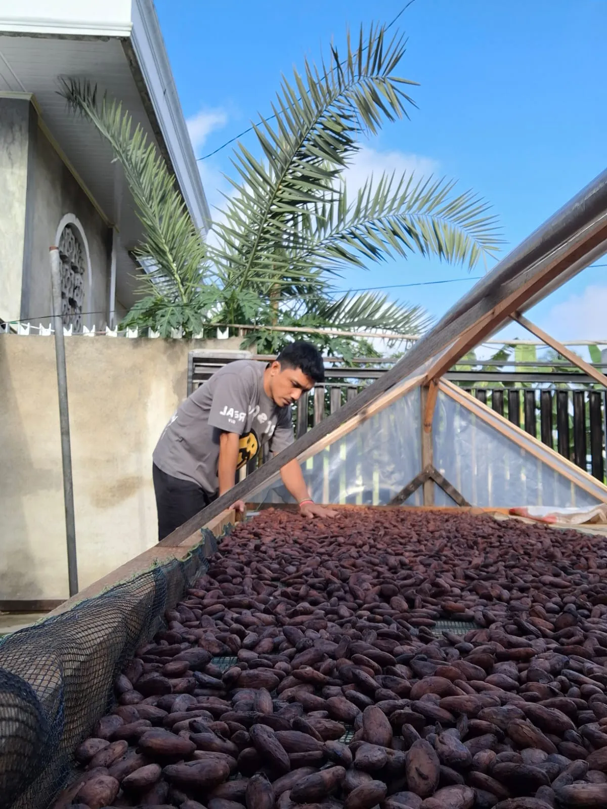 Cocoa Beans processing facility - Indonesian spice facility in North Sulawesi