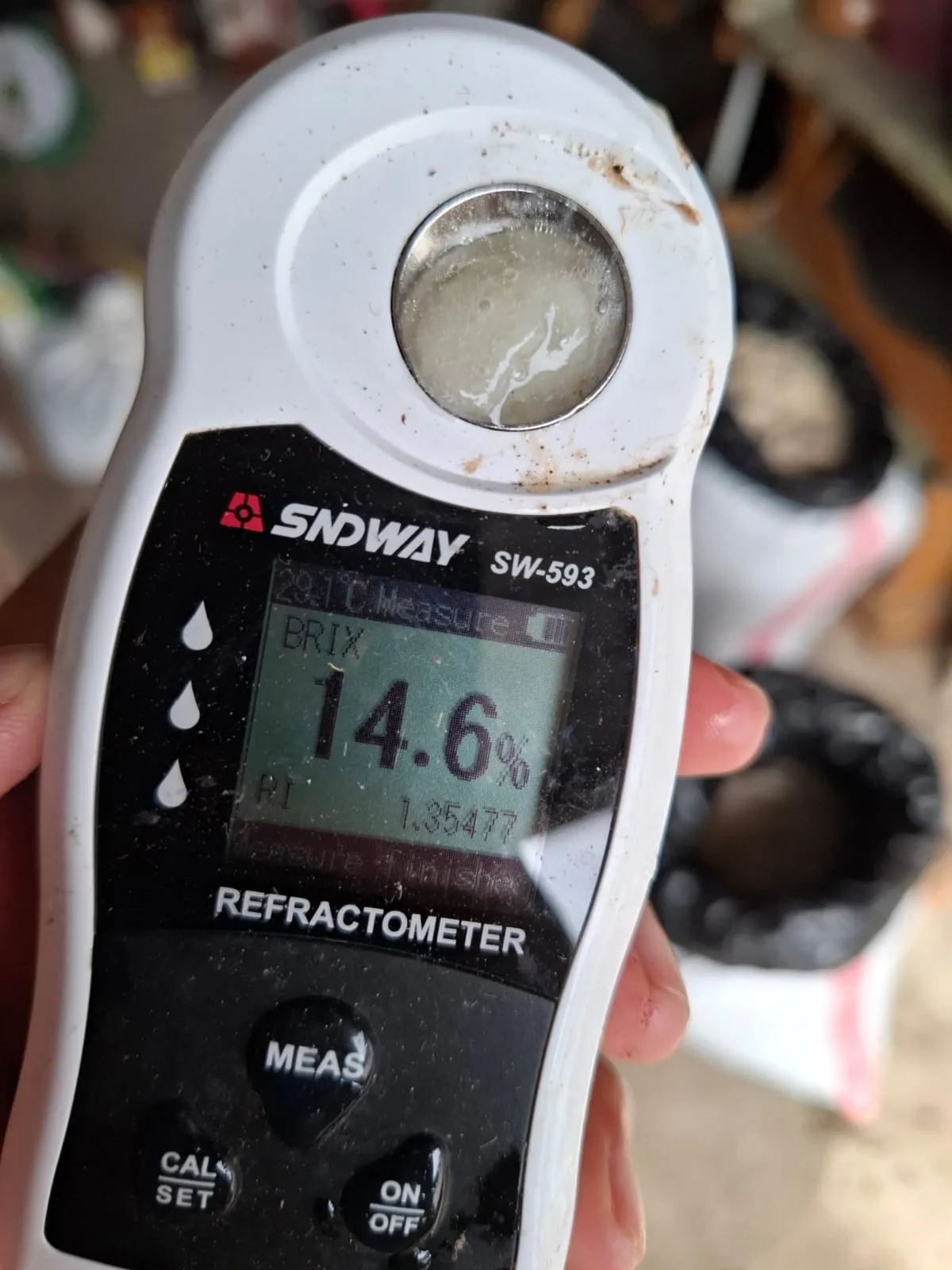 Cocoa Beans processing facility - Indonesian spice facility in North Sulawesi