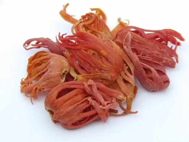 Mace (Bunga Pala) - Premium Spices from North Sulawesi